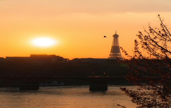 La gestion des événements : Un partenaire idéal pour les occasions spéciales